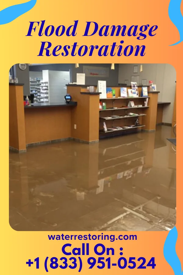 Flood Damage Restoration in Dakota, IL